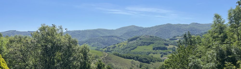 Memoirs of a Middle Aged Adventure Mum